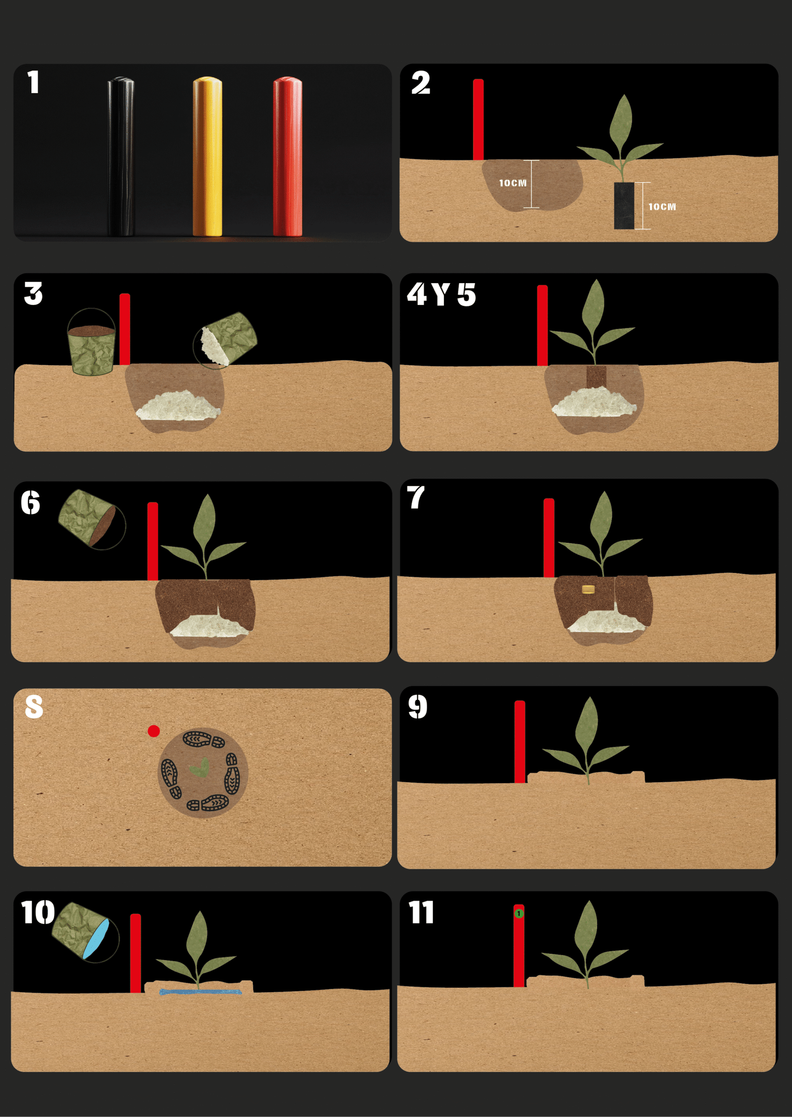 ¿CÓMO PLANTAR UN ÁRBOL EN AMTAP?